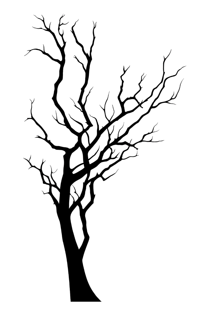 Autumn Tree